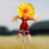 Огородное пугало &laquo;Солнце&raquo;, h = 50 см, МИКС, Greengo