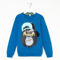 Свитшот для мальчика, цвет синий , рост 128 см Свитшот для мальчика, цвет синий , рост 128 см