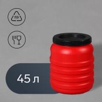 Бочка пищевая, 45 л, горловина 29 см, с крышкой, МИКС Бочка пищевая, 45 л, горловина 29 см, с крышкой, МИКС