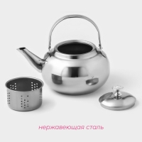 Заварочный чайник Доляна &laquo;Гретель&raquo;, 1,1 л, металлическое сито, нержавеющая сталь, хромированный