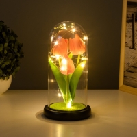 Ночник колба &laquo;Тюльпаны&raquo; LED 3хААА розовый 10,5х10,5х22см