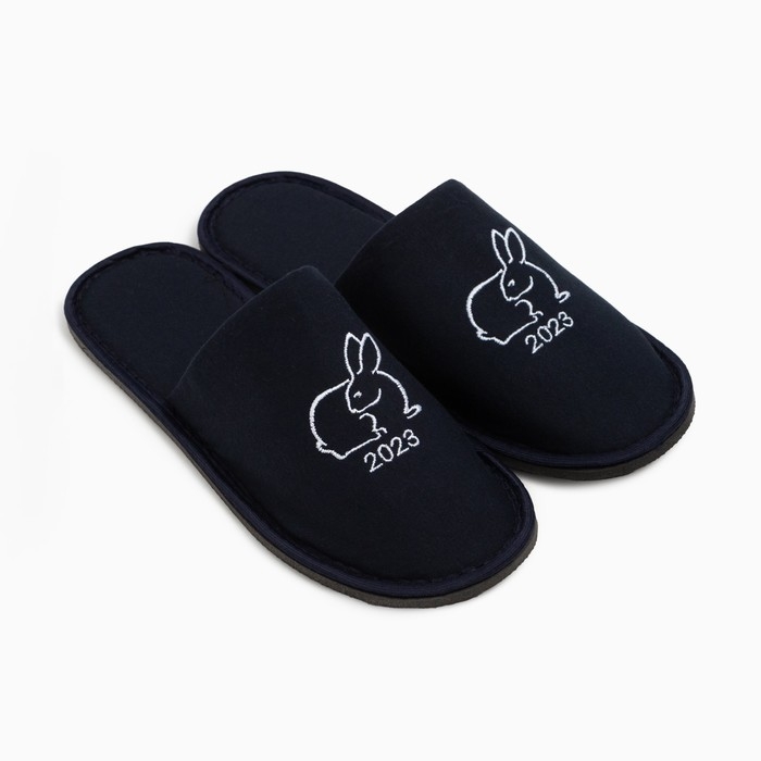 Тапочки мужские, цвет синий, размер 41