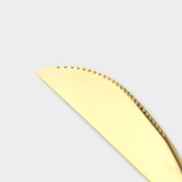 Столовые приборы из нержавеющей стали &laquo;Оску&raquo;, 24 предмета, в коробке, цвет золотой