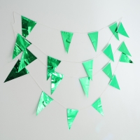 Гирлянда «Флажки», 20 флажков, 10 метров, цвет зелёный Гирлянда «Флажки», 20 флажков, 10 метров, цвет зелёный