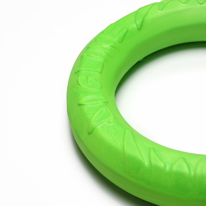Кольцо Кольцо "ДогЛайк" D-2611, 8-мигранное, большое, ⌀ 30,5 см, зелёное