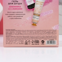 Подарочный набор ЧИСТОЕ СЧАСТЬЕ «Мечтай!», гель для душа мартини 250 мл и крем для рук 30 мл Подарочный набор ЧИСТОЕ СЧАСТЬЕ «Мечтай!», гель для душа мартини 250 мл и крем для рук 30 мл