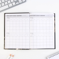 Набор &laquo;Золотой учитель&raquo;: ежедневник А5 160 листов, планинг 50 листов и ручка пластик