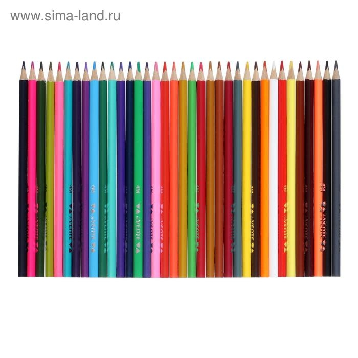 Карандаши 36 цветов, deVENTE Trio Mega Soft, трёхгранный корпус, супер мягкие, 4M, грифель 3 мм