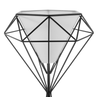 Торшер 19081/1 E27 40Вт черный 35х35х175 см