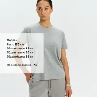 Футболка Regent 150 серый меланж, размер XS