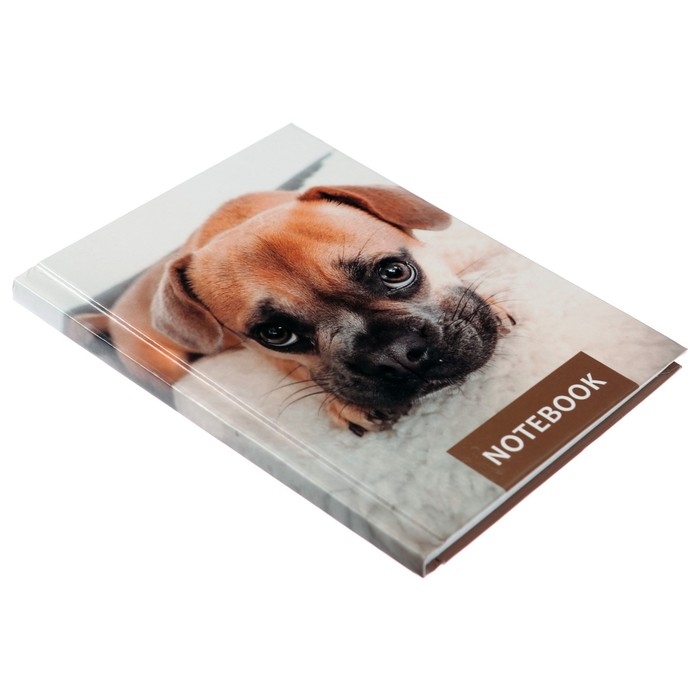 Блокнот А6, 64 листа в клетку "Лучший друг", твёрдая обложка, глянцевая ламинация, блок офсет