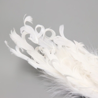 Пушистик на прищепке "Голубь с высоким хохолком и в блестках" белый 7х5х28 см Пушистик на прищепке "Голубь с высоким хохолком и в блестках" белый 7х5х28 см