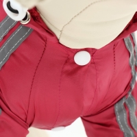 Комбинезон для собак, демисезонный, размер M (ДС 25-27, Ог 35-37, ОШ 27-29 см), красный Комбинезон для собак, демисезонный, размер M (ДС 25-27, Ог 35-37, ОШ 27-29 см), красный