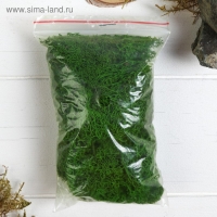 Мох стабилизированный "Салатовый" 45 гр (+-5 гр). Мох стабилизированный "Салатовый" 45 гр (+-5 гр).
