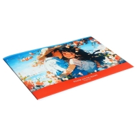 Альбом для рисования А4, 40 листов на скрепке "Аниме", обложка картон, блок офсет 100 г/м2, МИКС Альбом для рисования А4, 40 листов на скрепке "Аниме", обложка картон, блок офсет 100 г/м2, МИКС