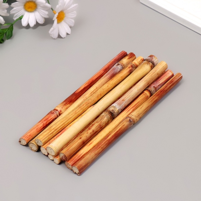 Стебли бамбука декоративные, 10 шт, длина 20 см Стебли бамбука декоративные, 10 шт, длина 20 см