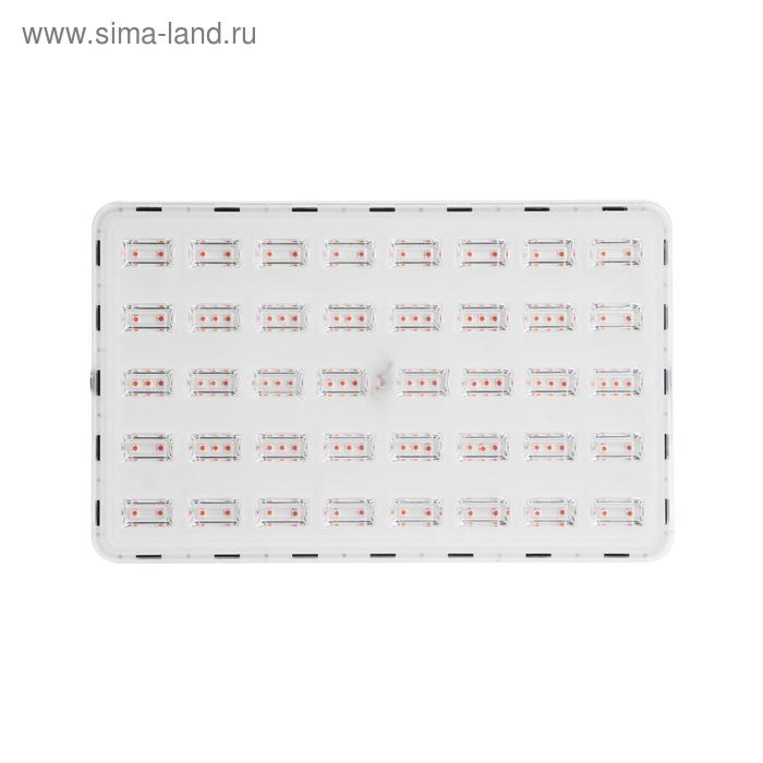 Фитопрожектор светодиодный Luazon, 100 Вт, IP65, 220 В, мультиспектральный