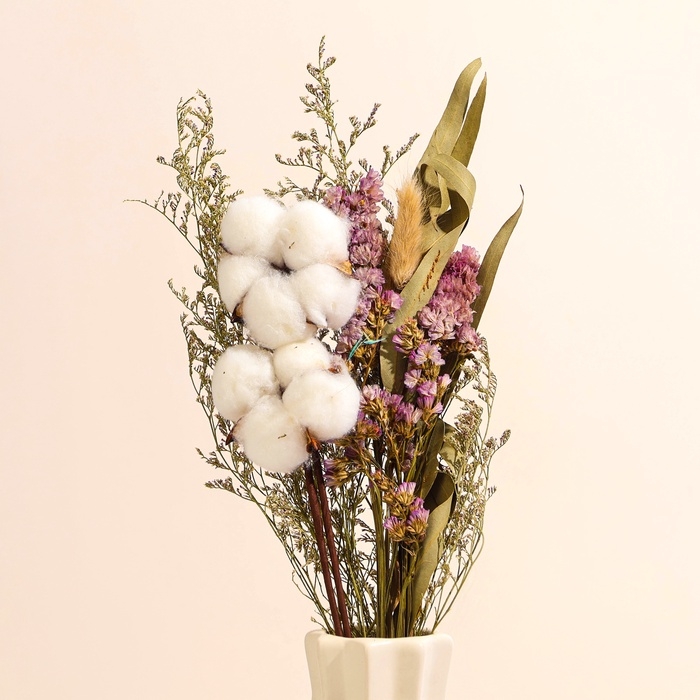 Сухоцветы «Хлопок», набор из 4 видов, 47 × 21,5 × 9 см Сухоцветы «Хлопок», набор из 4 видов, 47 × 21,5 × 9 см