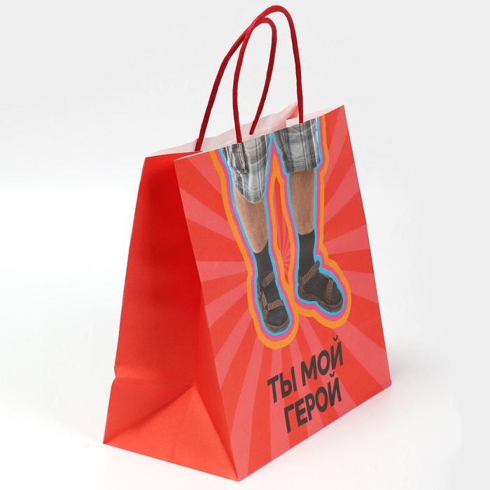 Пакет подарочный, упаковка, &laquo;Герой&raquo;, 22 х 22 х 11 см