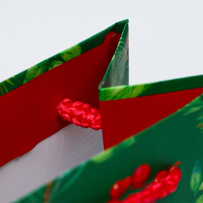 Новый год. Пакет подарочный новогодний под бутылку, упаковка Новый год. Пакет подарочный новогодний под бутылку, упаковка "Веточки", 12 х 36 х 8,5 см.