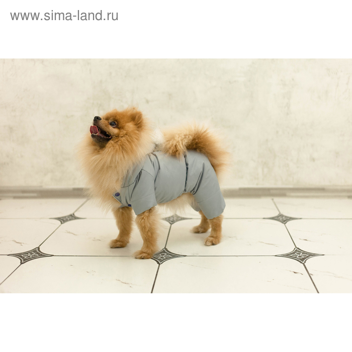 Комбинезон зимний для животных, флис, 2XL (ДС 34-36, ОШ 34-36, ОГ 44-48 см), серый
