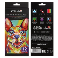 Карандаши 12 цветов TOP Calligrata, в картонной коробке, диаметр грифеля - 3мм, 5B Карандаши 12 цветов TOP Calligrata, в картонной коробке, диаметр грифеля - 3мм, 5B
