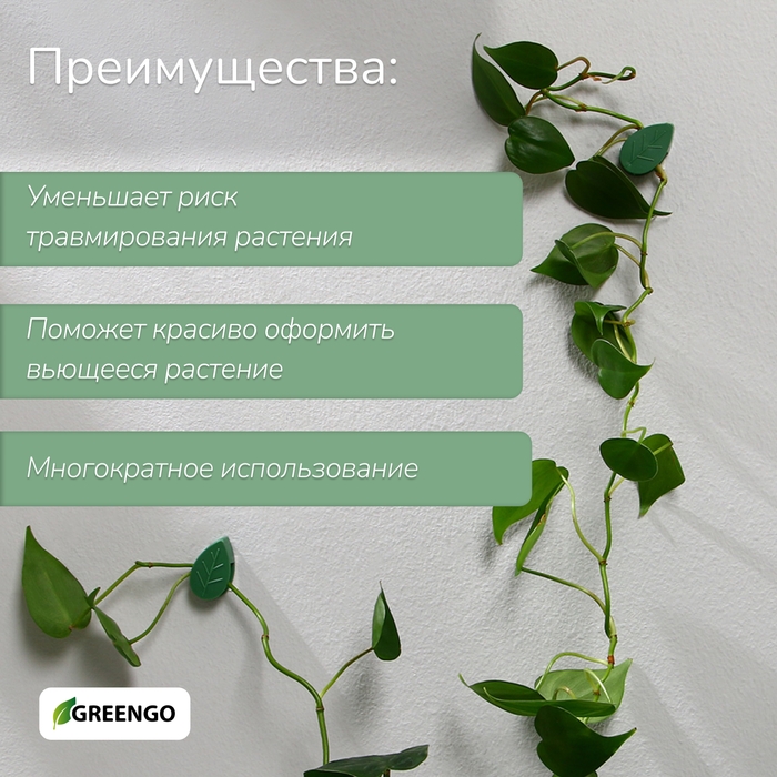 Крепления для вьющихся растений, самоклеящиеся, &laquo;Листок&raquo;, набор 10 шт., Greengo