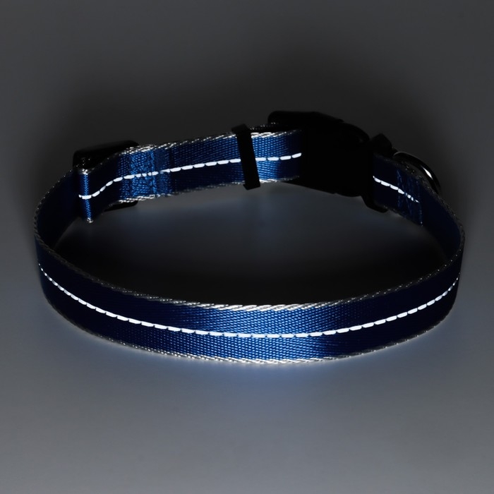 Ошейник светоотражающий Ошейник светоотражающий "Неон", ширина 2,5 см, синий
