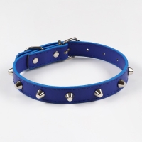 Ошейник с затупленными шипами, 45 х 2 см, микс цветов Ошейник с затупленными шипами, 45 х 2 см, микс цветов