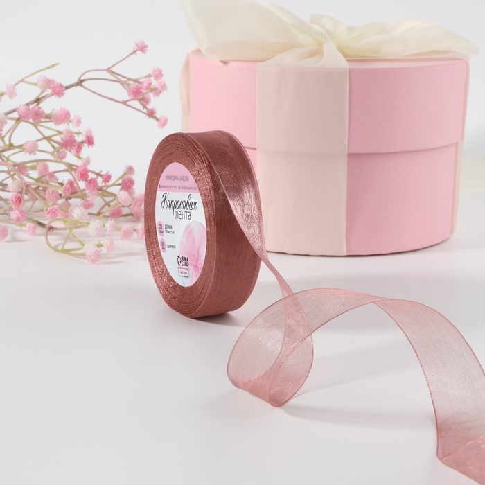 Лента капроновая, 20 мм, 20 &plusmn; 1 м, цвет пудровый №171