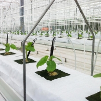 Субстрат &laquo;Эковер&raquo; минераловатный в мате, для рассады растений, овощей, 100 &times; 20 &times; 7.5 см