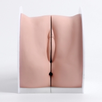 Макет "Вагина" разборный 19*13*17см Макет "Вагина" разборный 19*13*17см