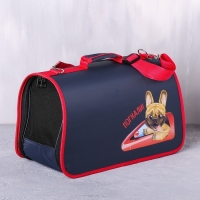 Сумка-переноска раскладная, каркасная &laquo;Погнали!&raquo; 45x27x20 см