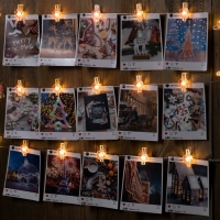 Гирлянда &laquo;Нить&raquo; 2 м роса с насадками &laquo;Прищепки-цветы&raquo;, IP20, серебристая нить, 20 LED, батарейки ААх2 (нет в комплекте), свечение тёплое белое