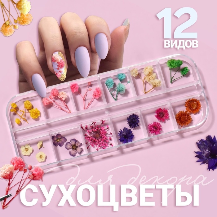 Сухоцветы для декора ногтей «Ассорти», объёмные, 12 видов, в футляре, разноцветные Сухоцветы для декора ногтей «Ассорти», объёмные, 12 видов, в футляре, разноцветные