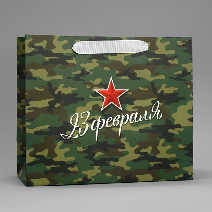 Пакет подарочный ламинированный горизонтальный, упаковка, &laquo;Звезда&raquo;, ML 27 х 23 х 11.5 см