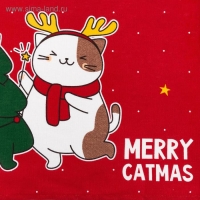Полотенце "Доляна" Merry catmas 35х60 см,100% хлопок 160 г/м2 Полотенце "Доляна" Merry catmas 35х60 см,100% хлопок 160 г/м2