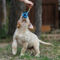 Игрушка "Сердечко с канатом", 7 см, голубое Игрушка "Сердечко с канатом", 7 см, голубое