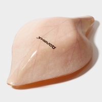 Соусник стеклянный Доляна «Лист», 80 мл, 13×8,1×3,4 см, цвет жёлтый Соусник стеклянный Доляна «Лист», 80 мл, 13×8,1×3,4 см, цвет жёлтый