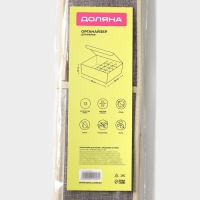 Органайзер для хранения белья Доляна «Тео», 13 ячеек, с прозрачной крышкой, 32×23×12 см, цвет серый Органайзер для хранения белья Доляна «Тео», 13 ячеек, с прозрачной крышкой, 32×23×12 см, цвет серый