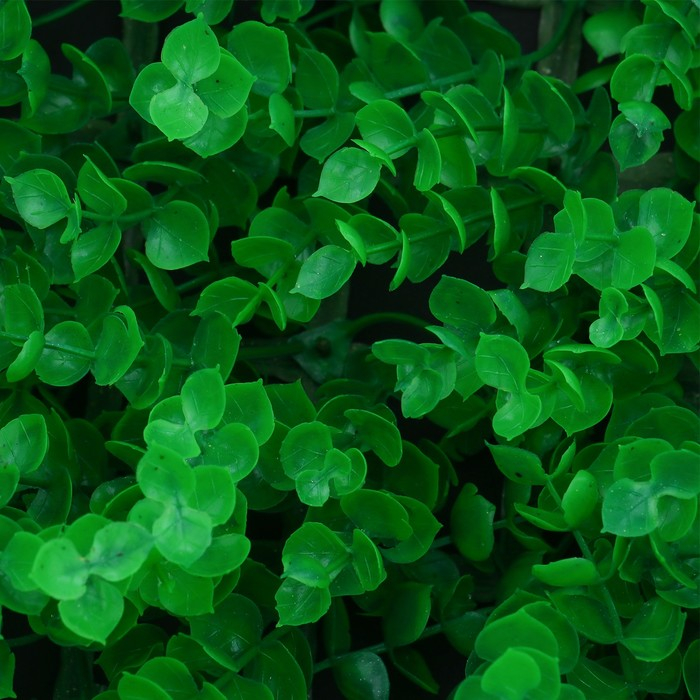 Декоративная панель, 60 × 40 см, «Самшит», Greengo Декоративная панель, 60 × 40 см, «Самшит», Greengo