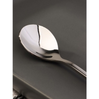 Ложка десертная из нержавеющей стали Magistro «Русалочка», длина 16 см, цвет серебряный Ложка десертная из нержавеющей стали Magistro «Русалочка», длина 16 см, цвет серебряный