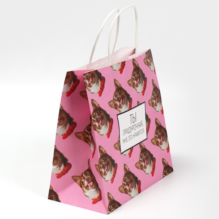 Пакет подарочный, упаковка, &laquo;Киса&raquo;, 22 х 22 х 11 см