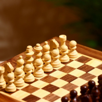 Шахматы дерево, 18х18,5х2 см Шахматы дерево, 18х18,5х2 см