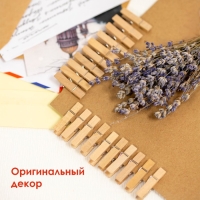 Прищепки декоративные "Классика" (набор 20 штук) 3,5 см, дерево Прищепки декоративные "Классика" (набор 20 штук) 3,5 см, дерево