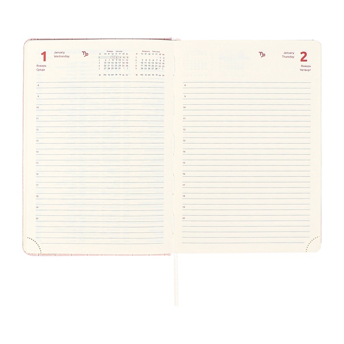 Ежедневник датированный 2025 A5 168 листов, deVENTE.Barbara, твердая обложка кожзам с поролоном, хлястик, перфорация, ляссе, блок 70, розовый