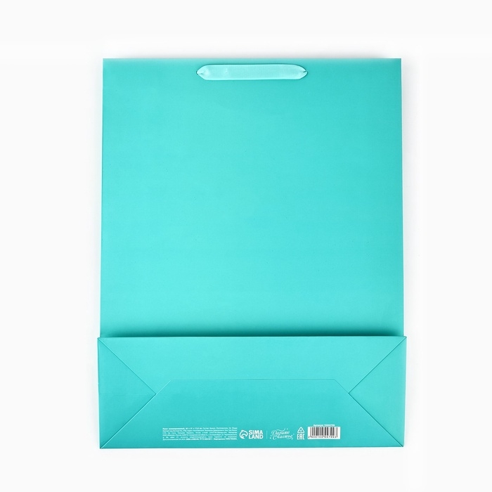 Пакет ламинированный вертикальный &laquo;С Днём рождения&raquo;, глиттер, L 40 х 31 х 11.5 см