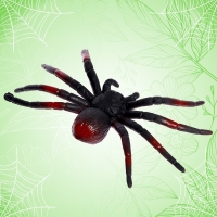 Набор насекомых «Жучки, паучки», 12 штук Набор насекомых «Жучки, паучки», 12 штук