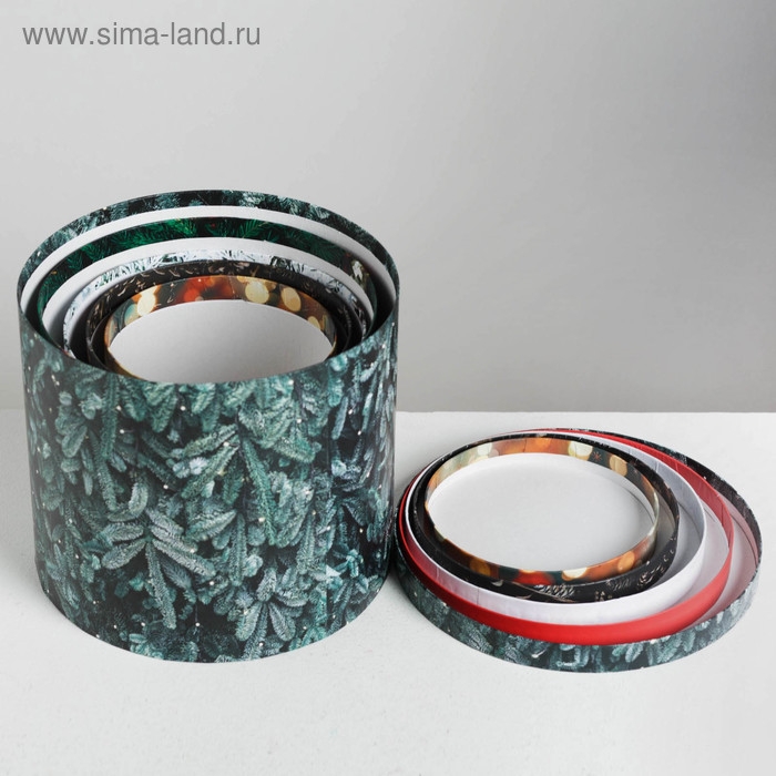 Набор подарочных коробок 5 в 1 &laquo;Новогоднее фото&raquo;, 13 х 14‒19.5 х 22 см, Новый год