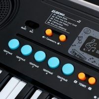 Синтезатор детский &laquo;Маленький музыкант&raquo;, 37 клавиш, с микрофоном